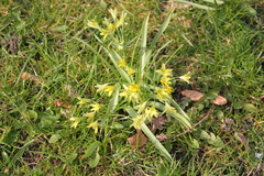 Killikus&reg; Fotographie