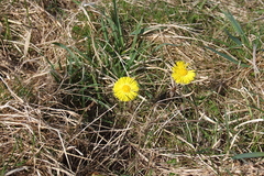 Killikus&reg; Fotographie