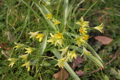 Killikus&reg; Fotographie