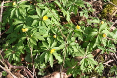 Killikus&reg; Fotographie