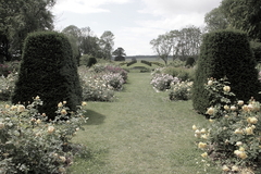 Killikus&reg; Fotographie