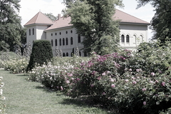 Killikus&reg; Fotographie