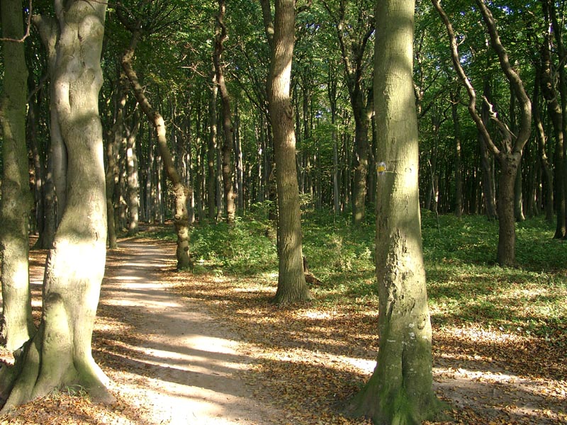 Killikus&reg; Fotographie