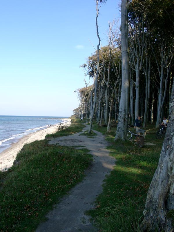 Killikus&reg; Fotographie