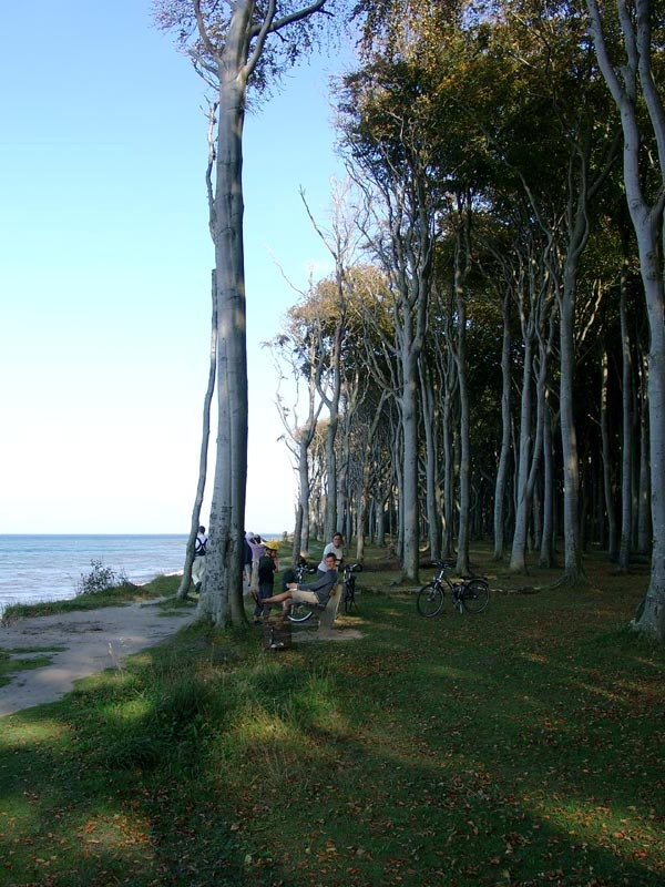 Killikus&reg; Fotographie