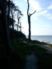 Killikus&reg; Fotographie