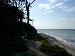 Killikus&reg; Fotographie