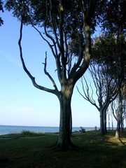 Killikus&reg; Fotographie