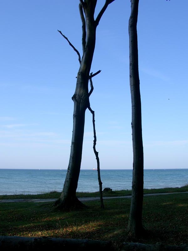 Killikus&reg; Fotographie