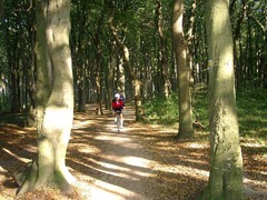 Killikus&reg; Fotographie