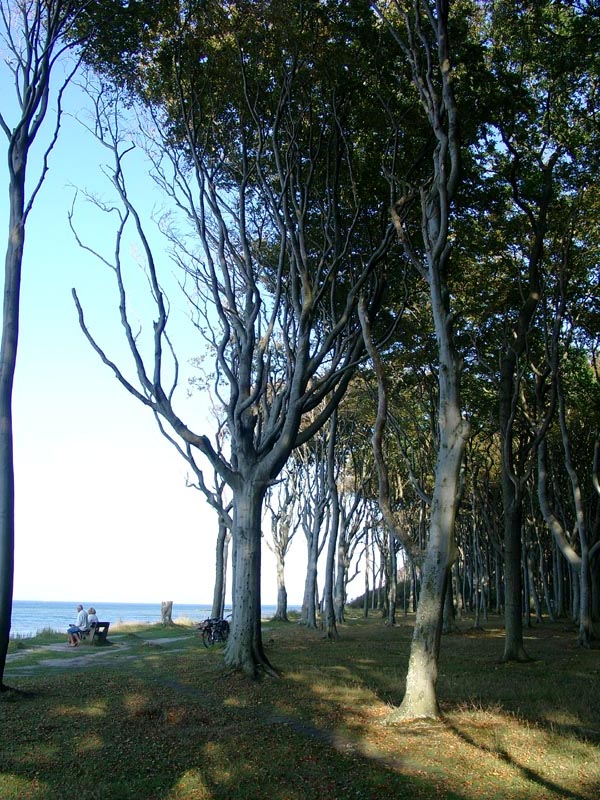 Killikus&reg; Fotographie