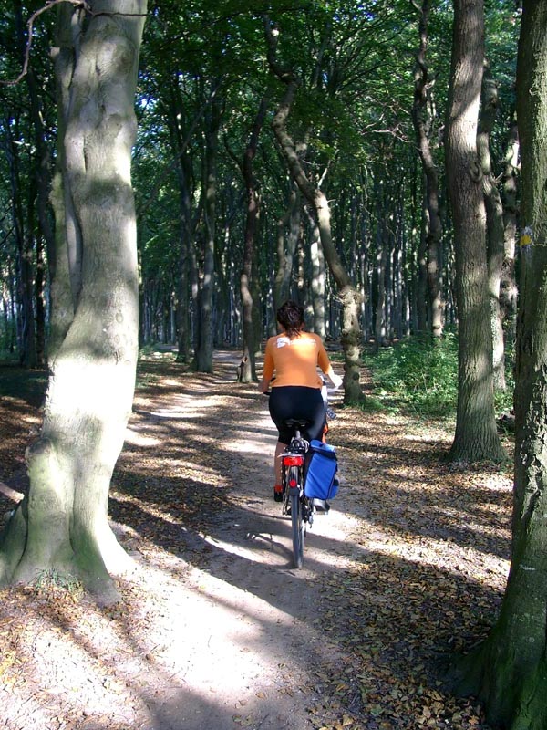 Killikus&reg; Fotographie