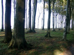 Killikus&reg; Fotographie