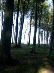 Killikus&reg; Fotographie