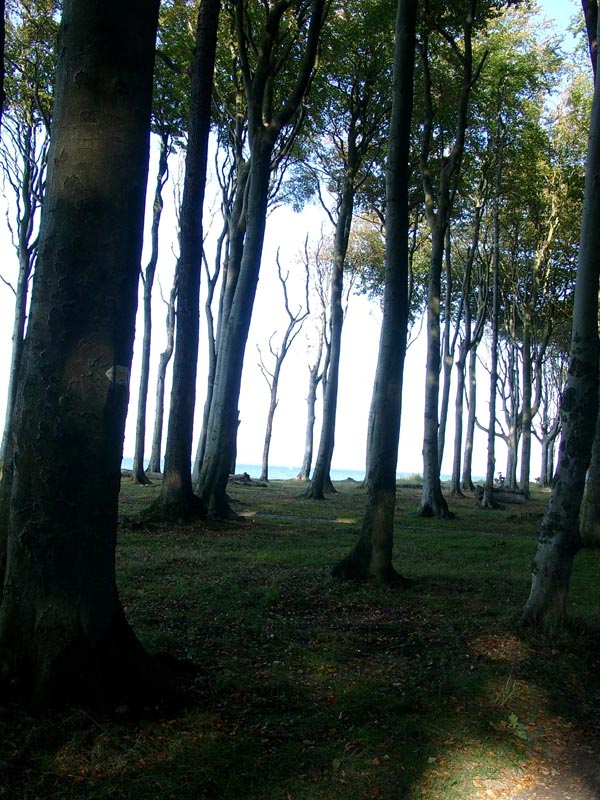 Killikus&reg; Fotographie