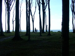 Killikus&reg; Fotographie