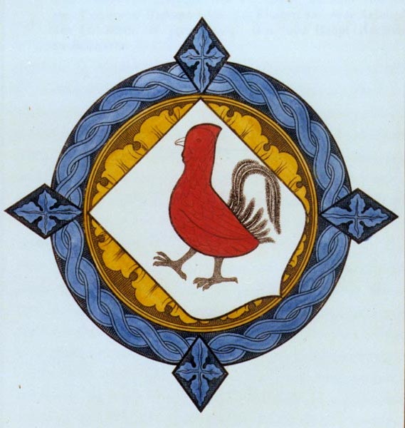 Killikus&reg; Fotographie