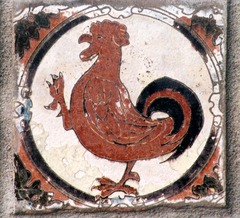 Killikus&reg; Fotographie