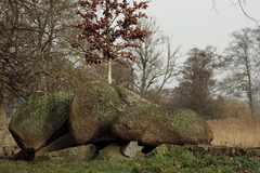 Killikus&reg; Fotographie