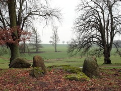 Killikus&reg; Fotographie