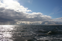 Killikus&reg; Fotographie