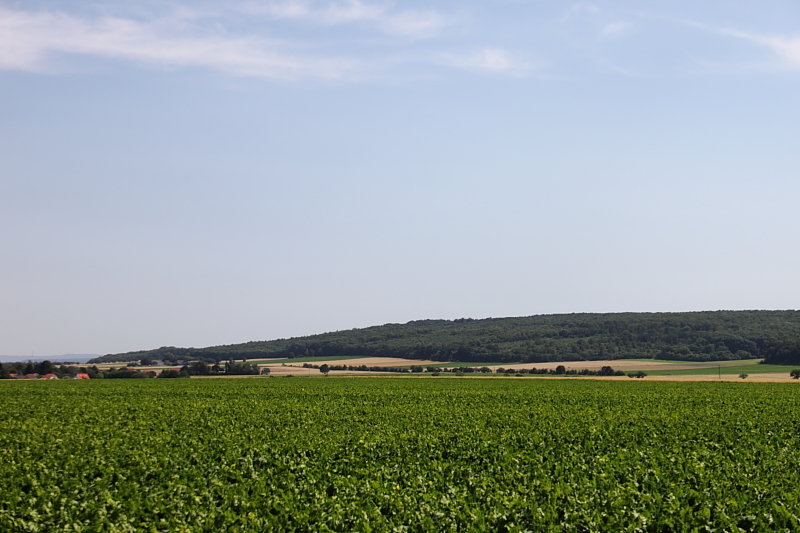 Killikus&reg; Fotographie