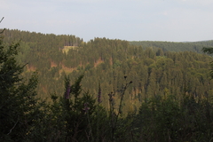 Killikus&reg; Fotographie