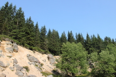 Killikus&reg; Fotographie