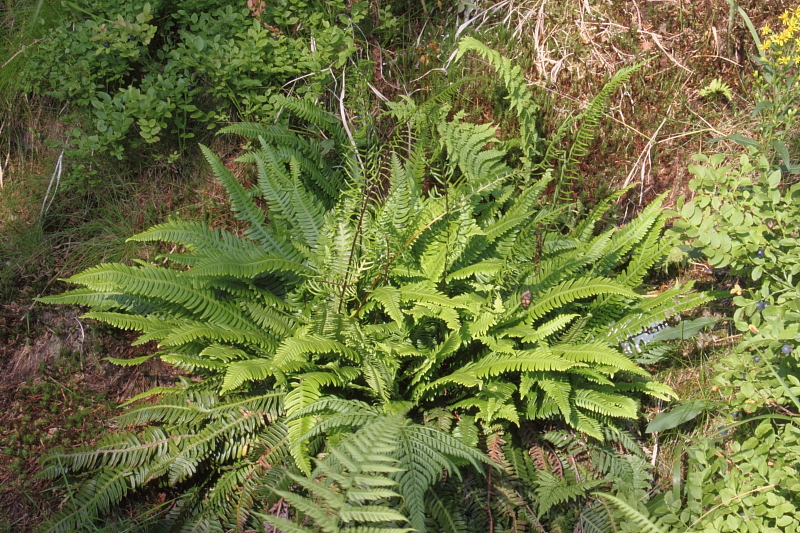 Killikus® Fotographie Killikus® Fotographie