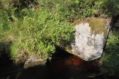 Killikus&reg; Fotographie