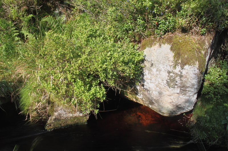 Killikus&reg; Fotographie