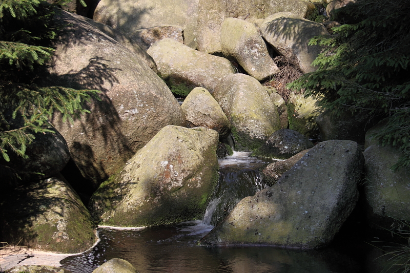 Killikus&reg; Fotographie