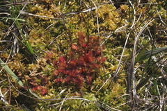 Killikus&reg; Fotographie