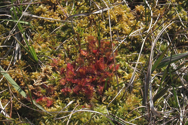 Killikus&reg; Fotographie