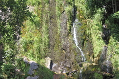 Killikus&reg; Fotographie