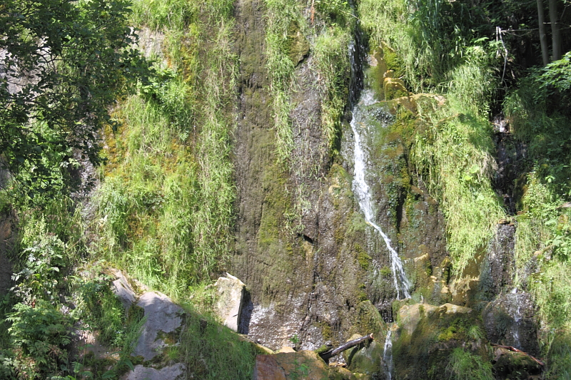 Killikus&reg; Fotographie