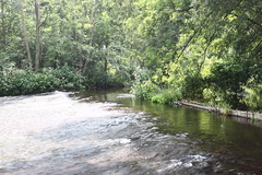 Killikus&reg; Fotographie