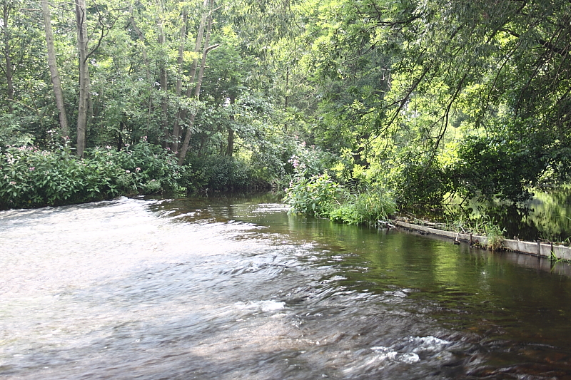 Killikus&reg; Fotographie