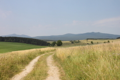 Killikus&reg; Fotographie