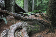 Killikus&reg; Fotographie