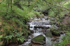 Killikus&reg; Fotographie