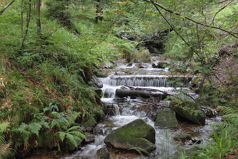 Killikus&reg; Fotographie