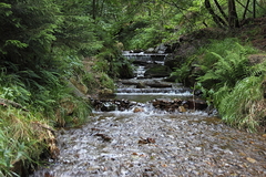 Killikus&reg; Fotographie