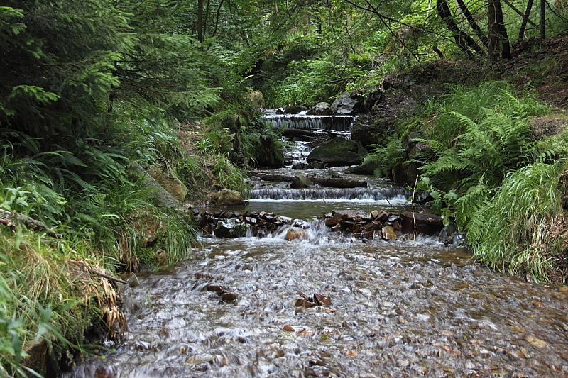 Killikus&reg; Fotographie