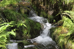 Killikus&reg; Fotographie