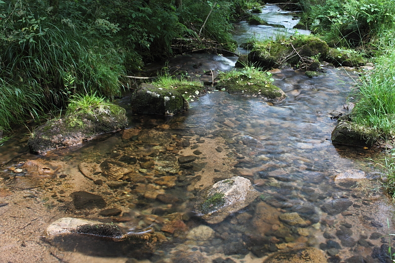 Killikus&reg; Fotographie