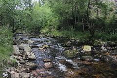 Killikus&reg; Fotographie