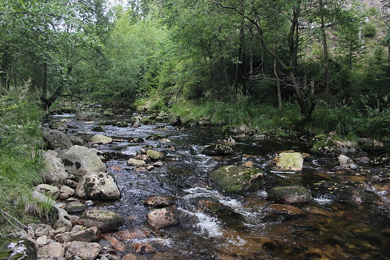 Killikus® Fotographie Killikus® Fotographie