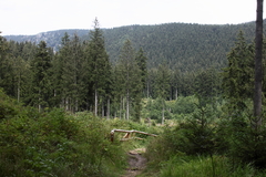 Killikus&reg; Fotographie