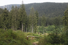 Killikus&reg; Fotographie